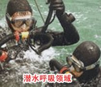 成功草莓视频色版APP在线观看
